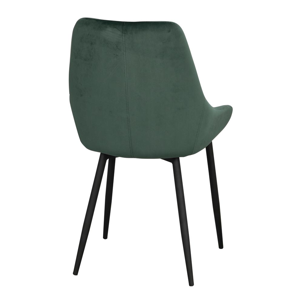 Sierra-stol-gron-bakifran